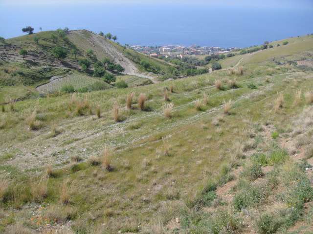DSC01359