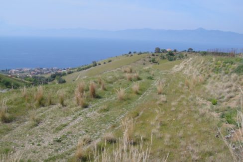 DSC01362