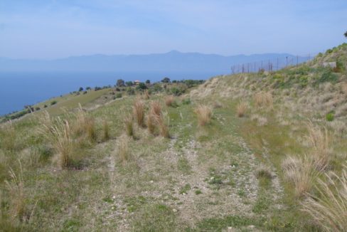 DSC01363