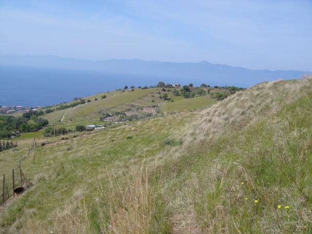 DSC01364