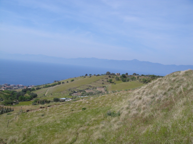 DSC01366