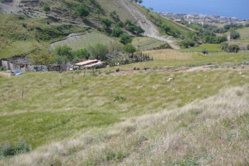 DSC01367
