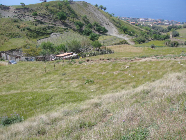 DSC01367