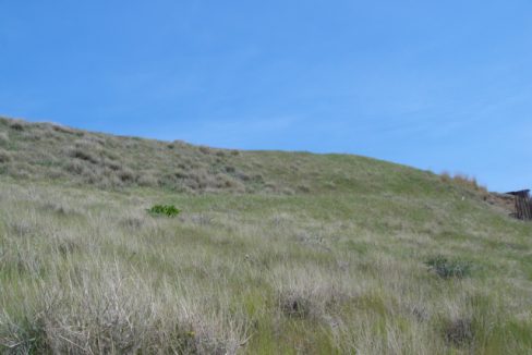 DSC01369