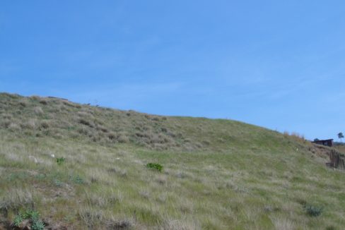 DSC01371