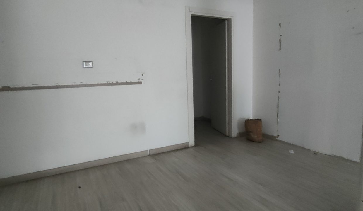 IMG20250313155031