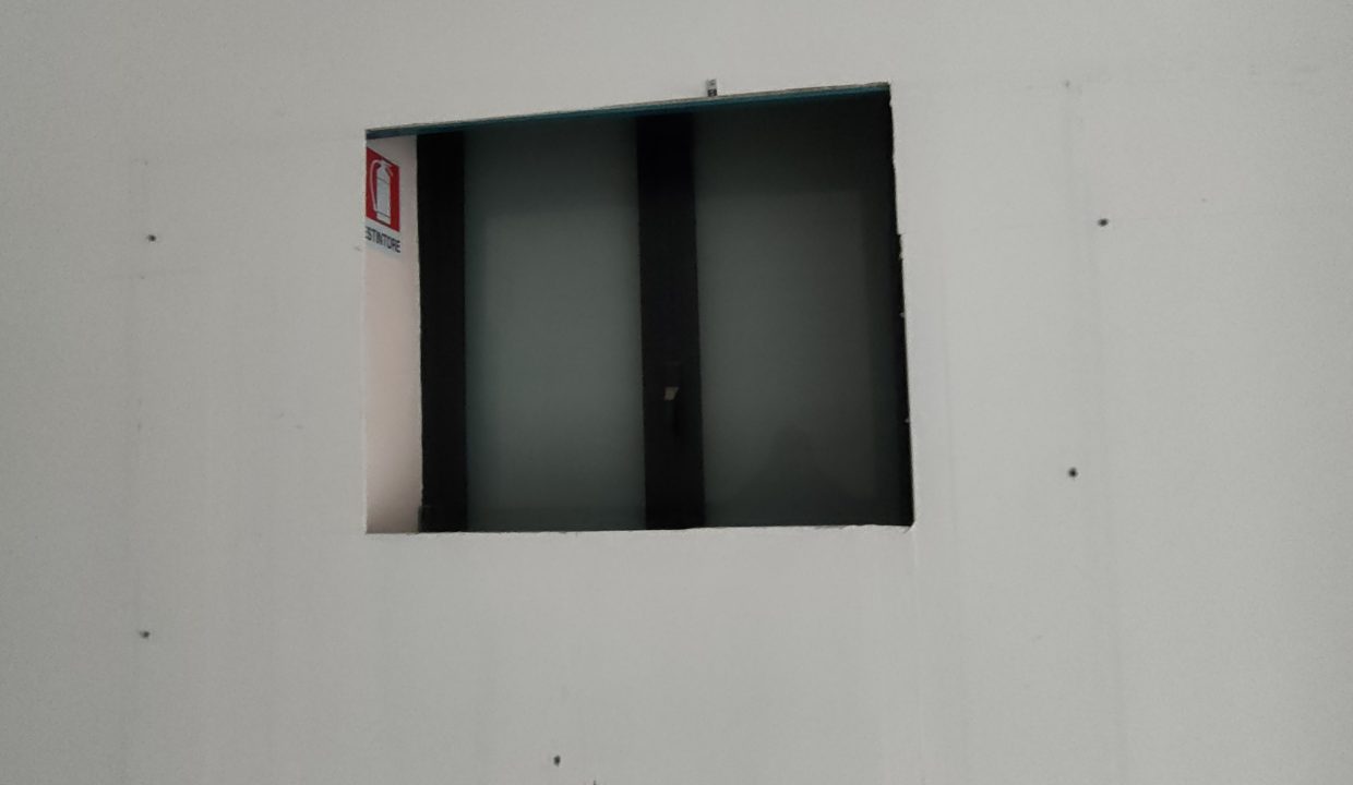 IMG20250313155136