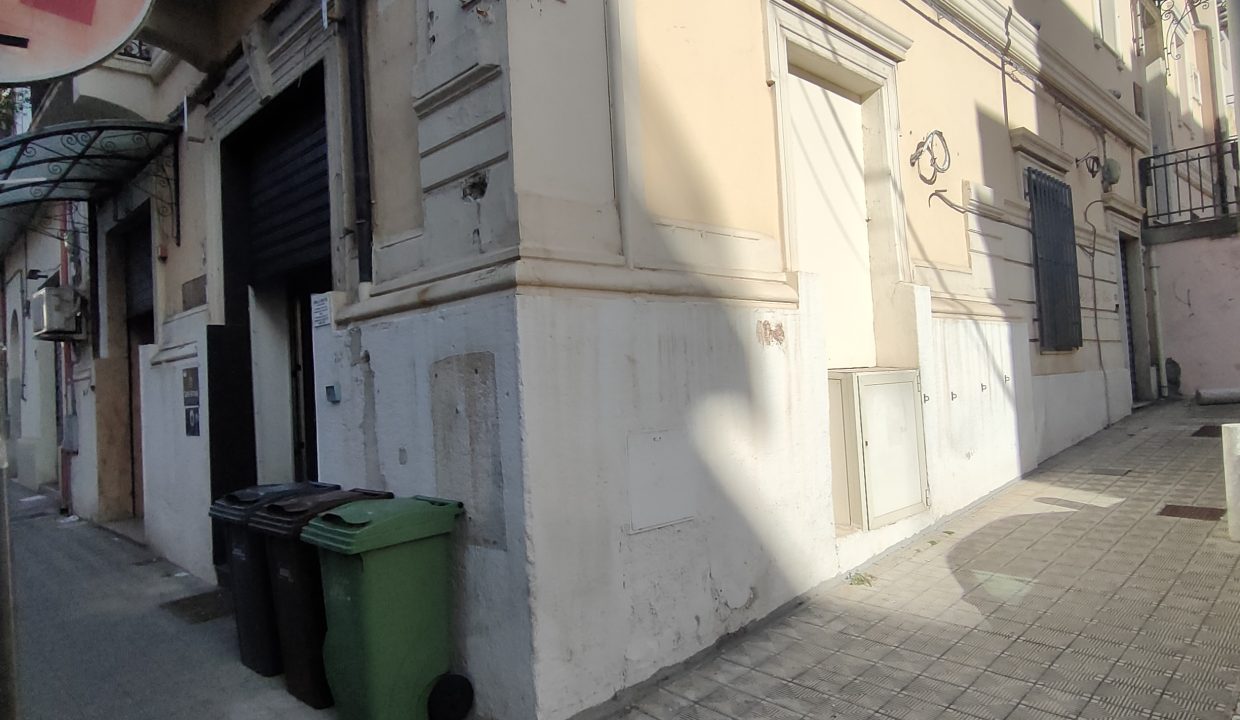 IMG20250313155229