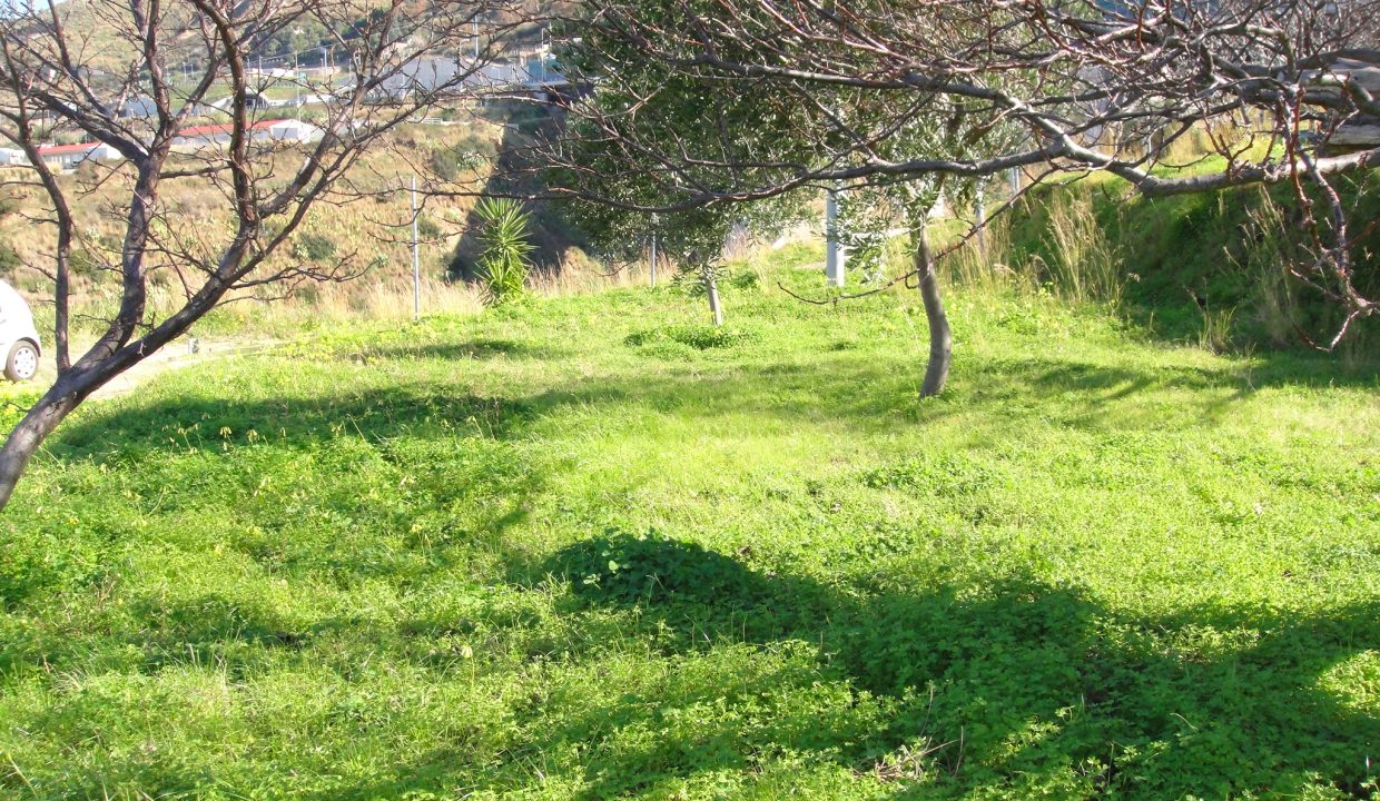 DSC02261