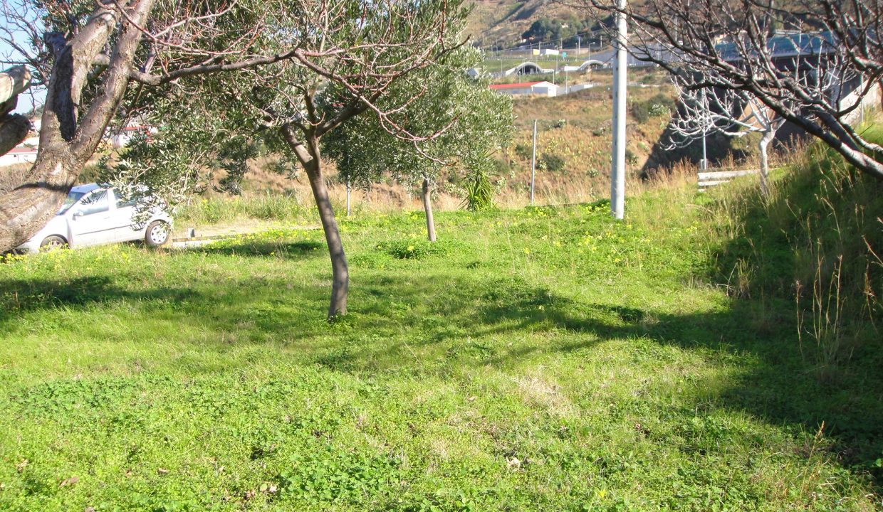 DSC02263