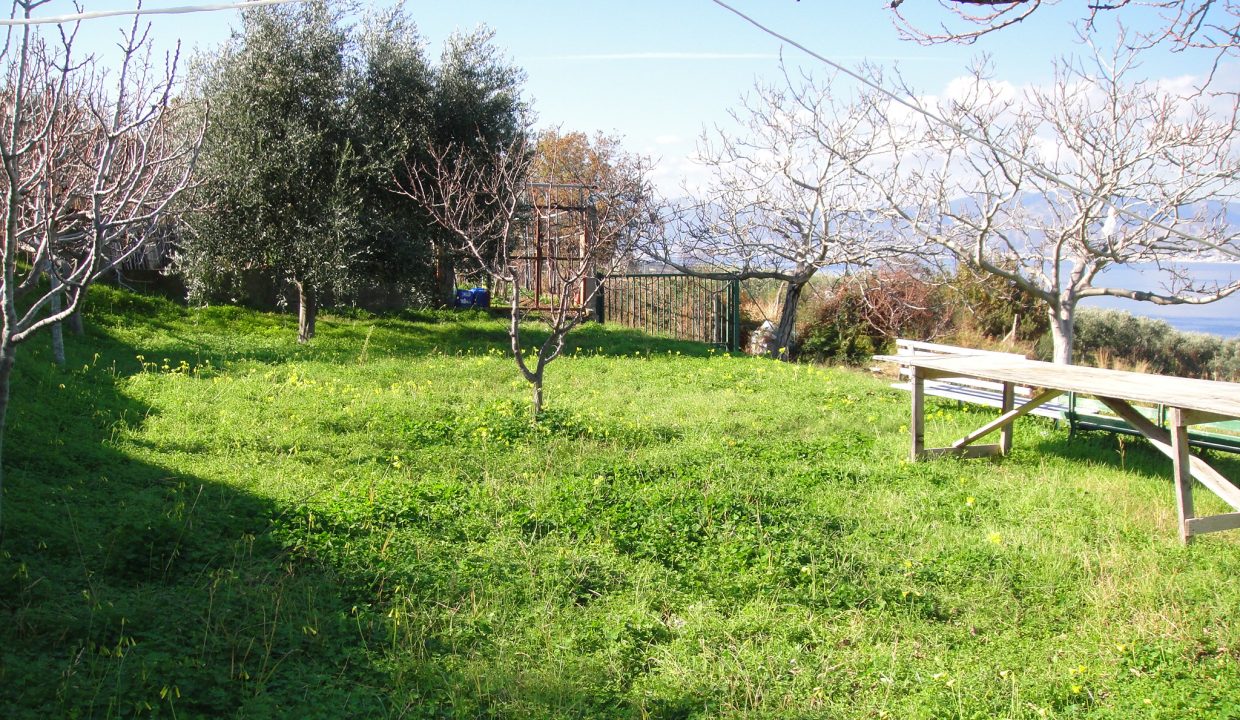 DSC02264