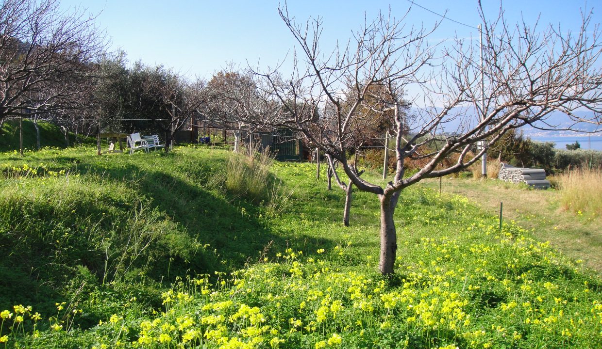 DSC02289