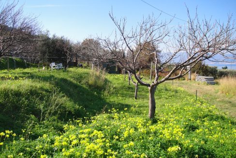 DSC02289