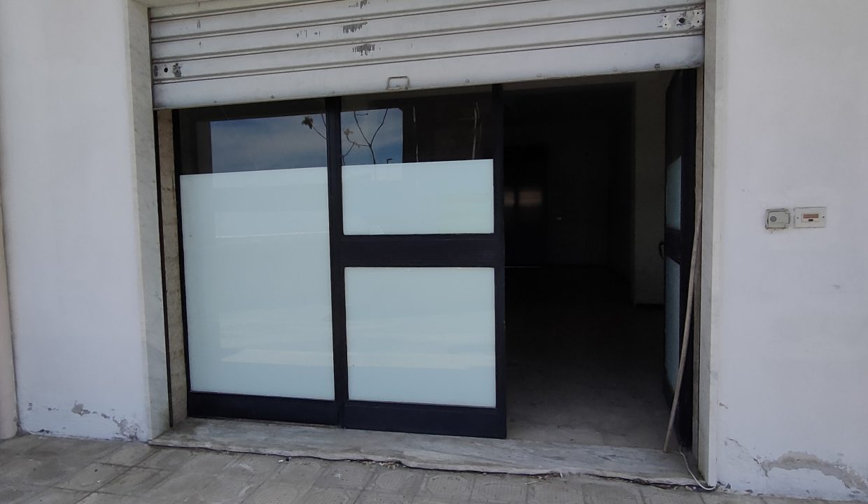 IMG20250412115444