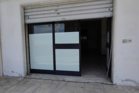 IMG20250412115444