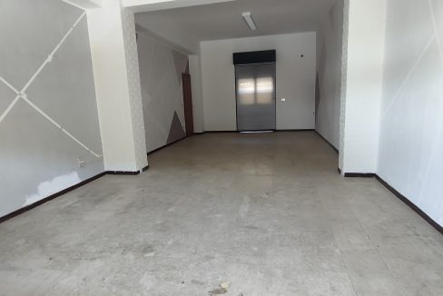 IMG20250412115454