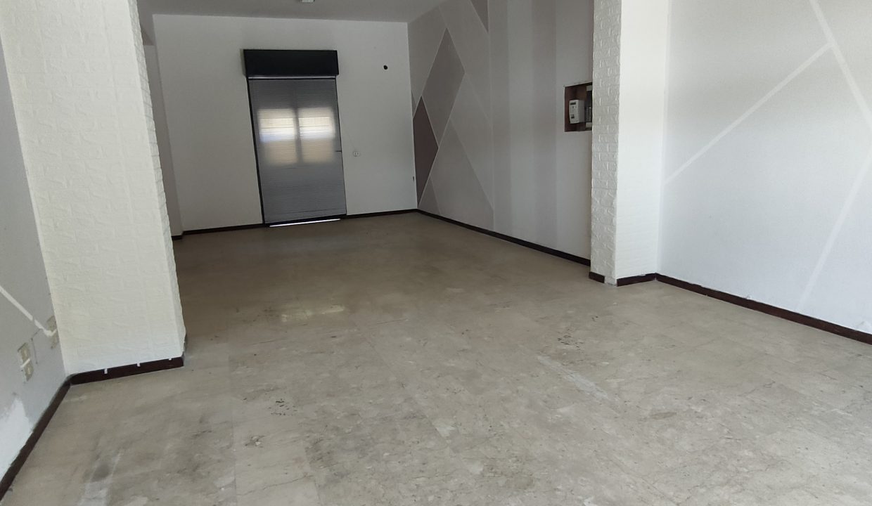 IMG20250412115501