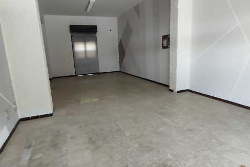 IMG20250412115501