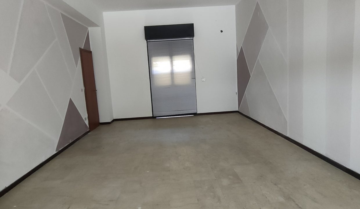 IMG20250412115506