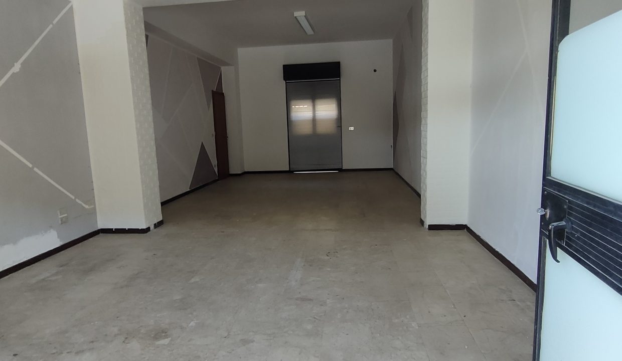 IMG20250412115619