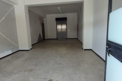 IMG20250412115619