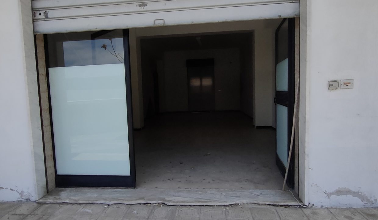 IMG20250412115731