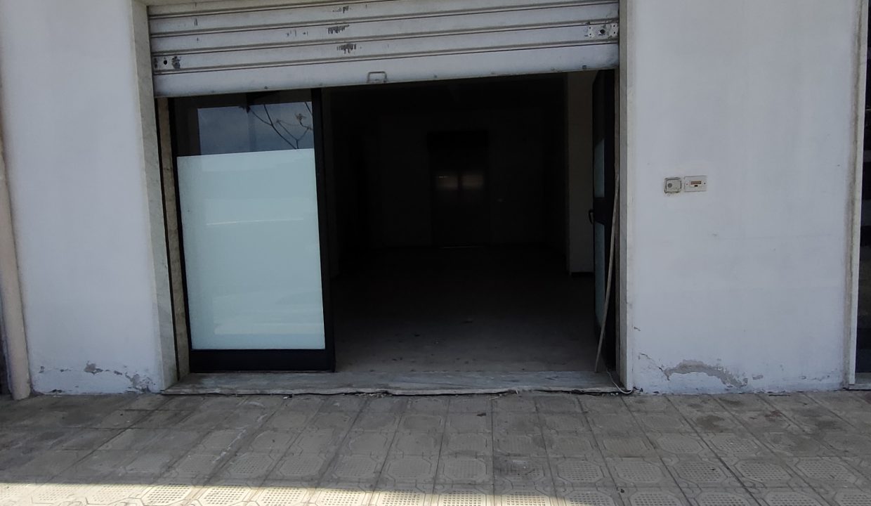 IMG20250412115735