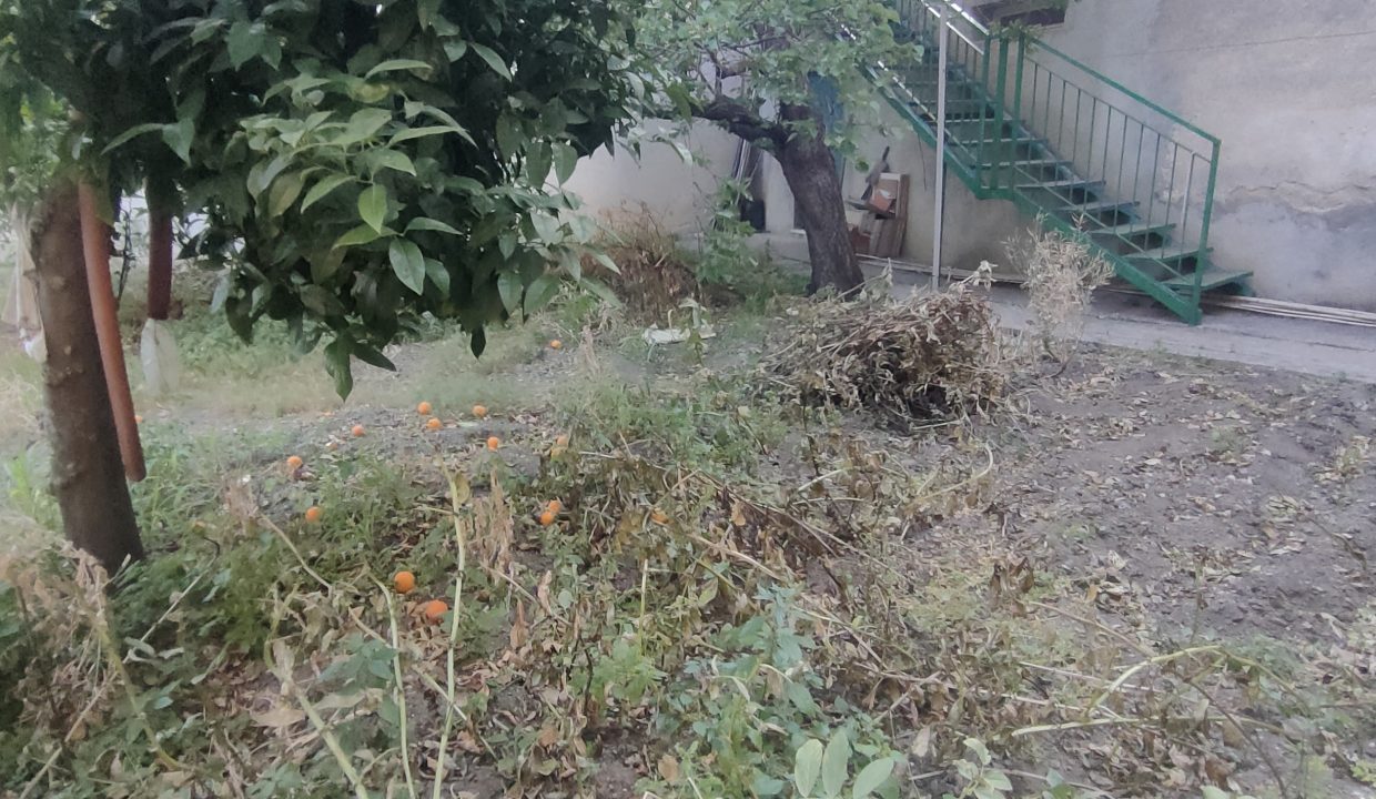 IMG20250615184920