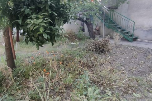 IMG20250615184920