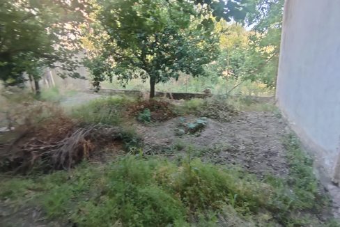 IMG20250615185058