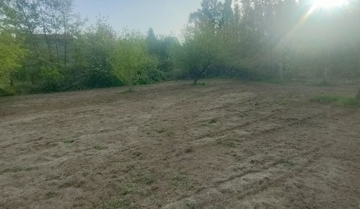 IMG20260505184015