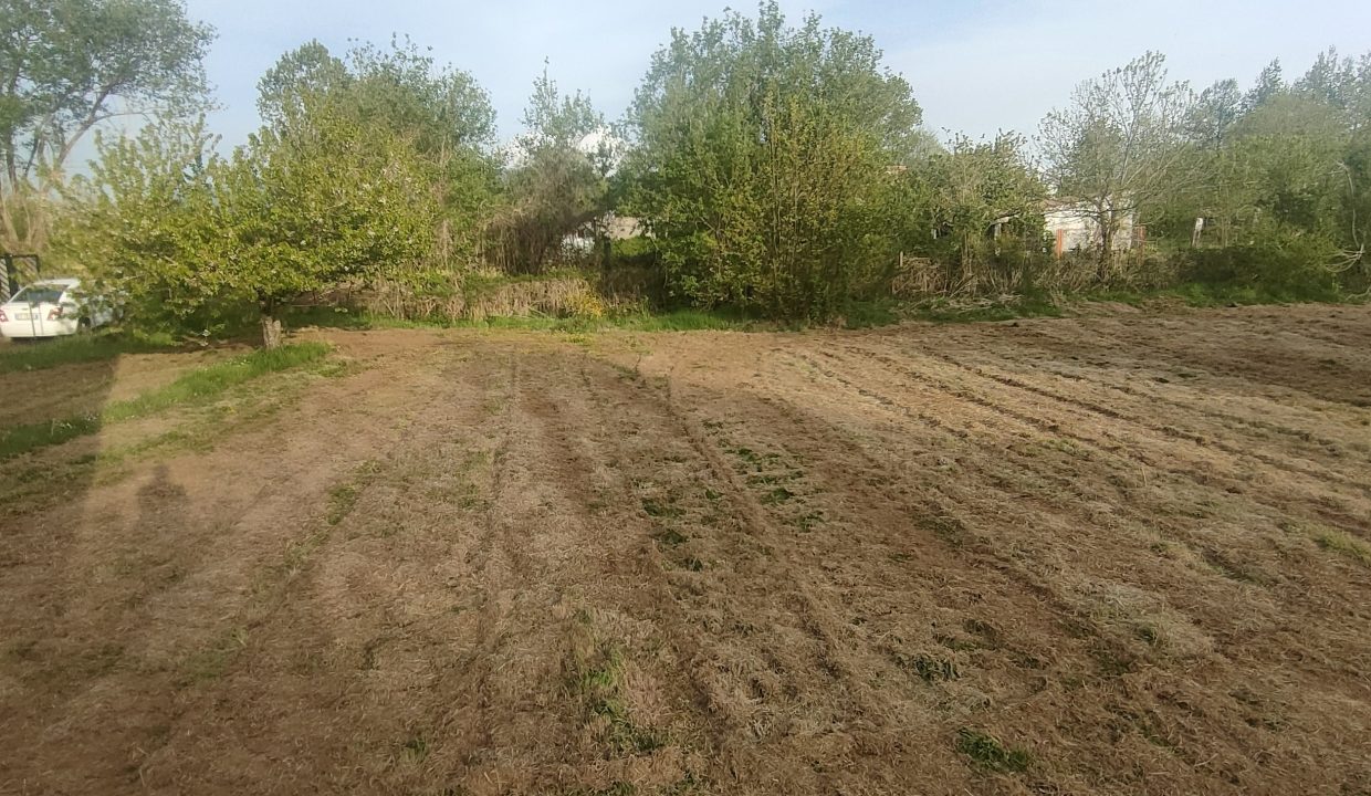 IMG20260505184019