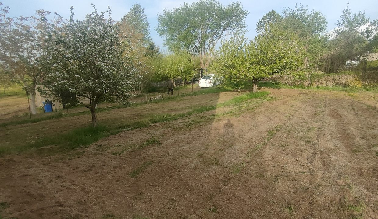 IMG20260505184022