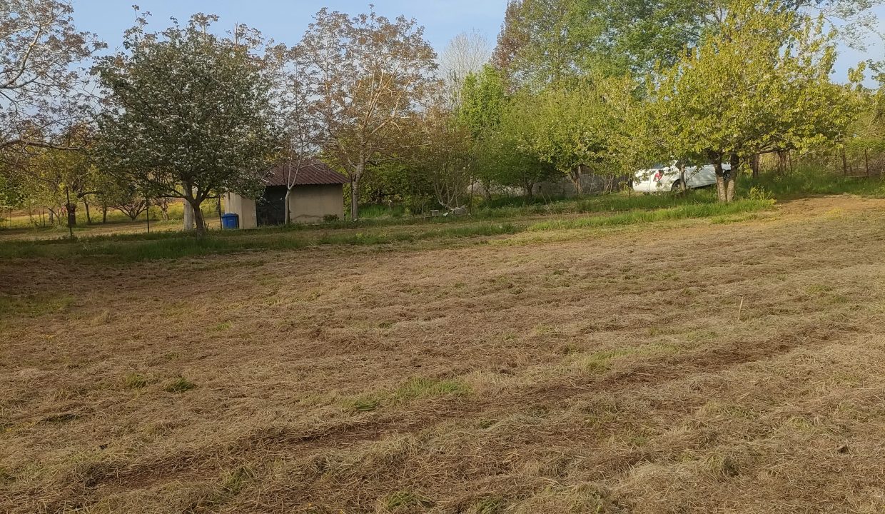 IMG20260505184103