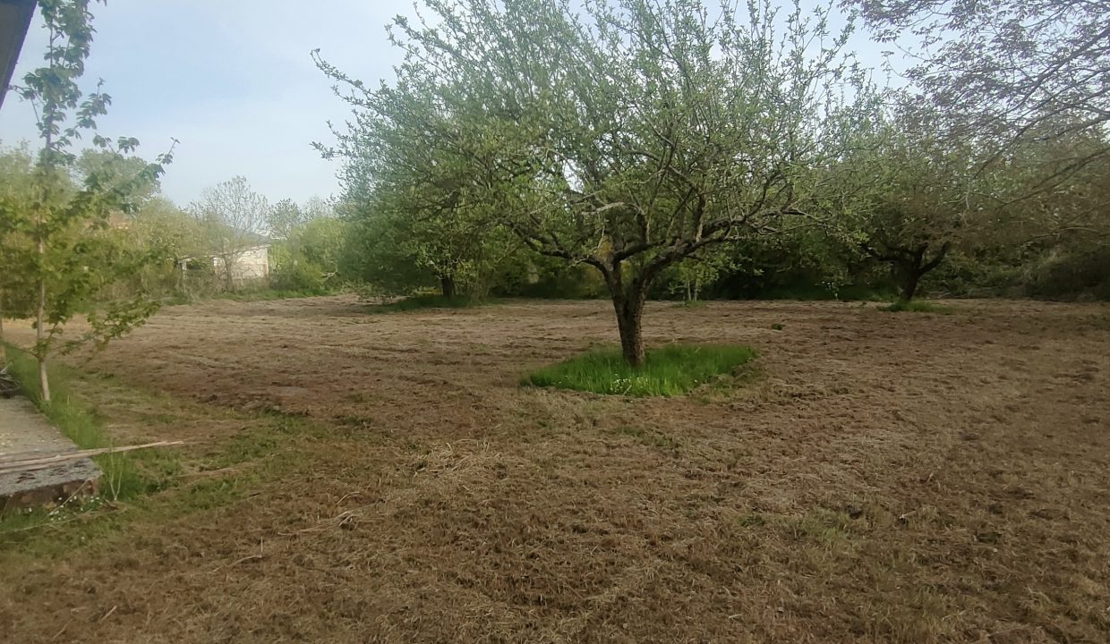 IMG20260505184338