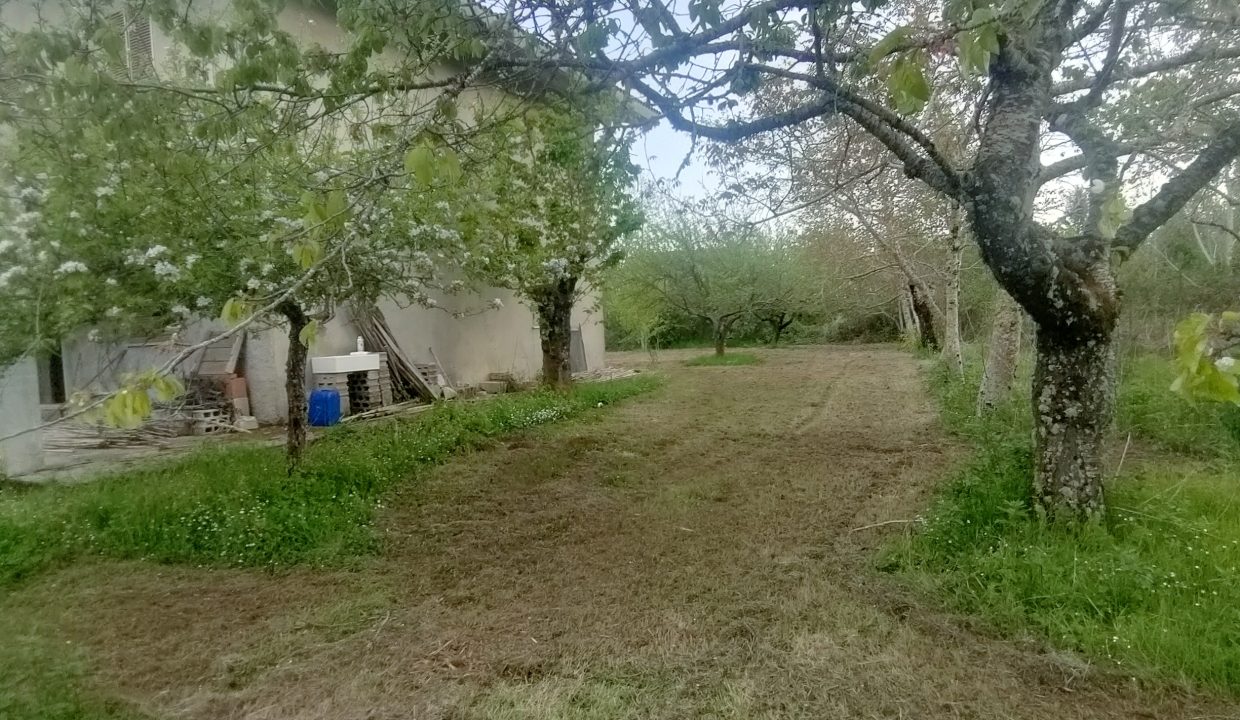 IMG20260505190305