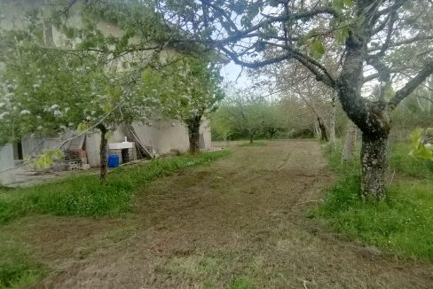 IMG20260505190305